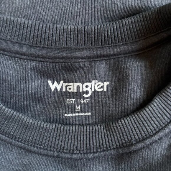 GUC!! FREE PEOPLE x WRANGLER Tiger Sweatshirt | Oversized Slouchy Crewneck | Med - Picture 4 of 7